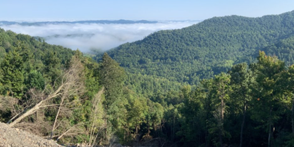 Ataya project view image